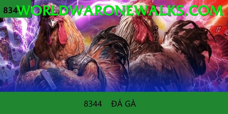 Trường Đấu Đá Gà Chuyên Nghiệp