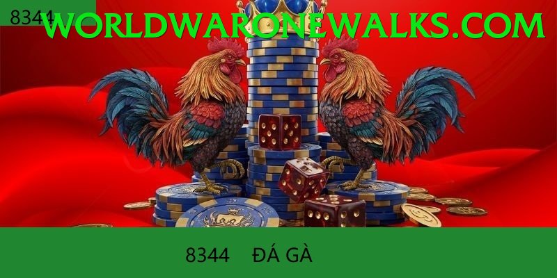 Cách Đọc Kèo Đá Gà